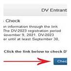 dv lottery 2020 status check